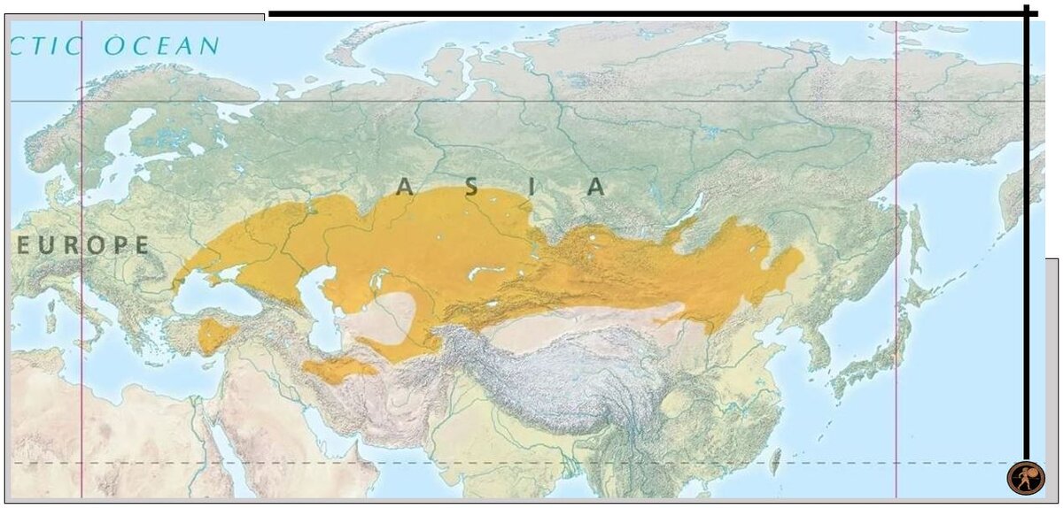 Собственно сам Евразийский степной пояс или Великая Степь.