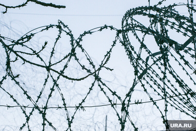    Депутатов приговорили к лишению свободы заочно, поскольку они находятся в РФ