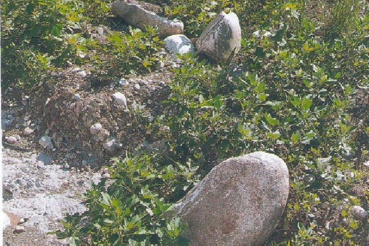 Фото: КСП Саяногорска