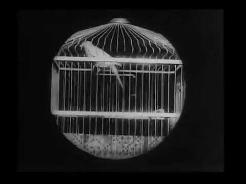 Пример эффекта экранного Каше. Фрагмент из фильма "Бабушкина лупа", 1900 г.