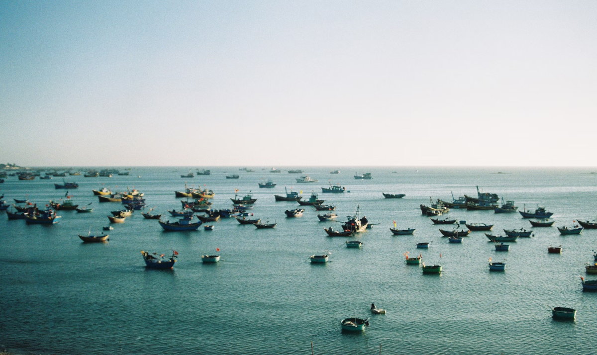 Это бывшая рыбацкая деревушка, которая за последние десятилетие превратилась в небольшой, но популярный курорт на юге Вьетнама. Этому способствовали пляжи из ослепительно белого песка в окружении пальмовых джунглей, уединённая локация и, конечно, обилие местных морепродуктов.