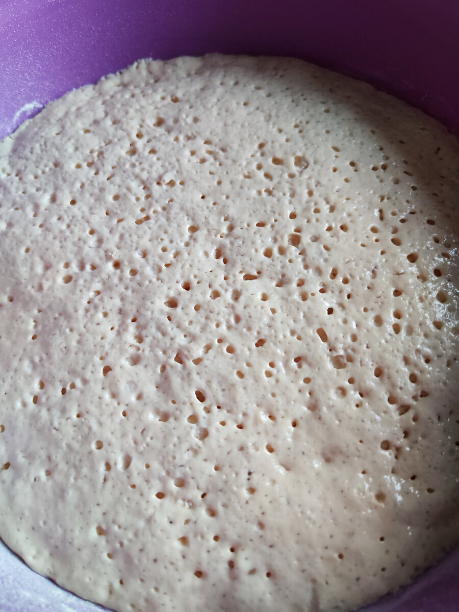 Опара, хорошо поднялась.