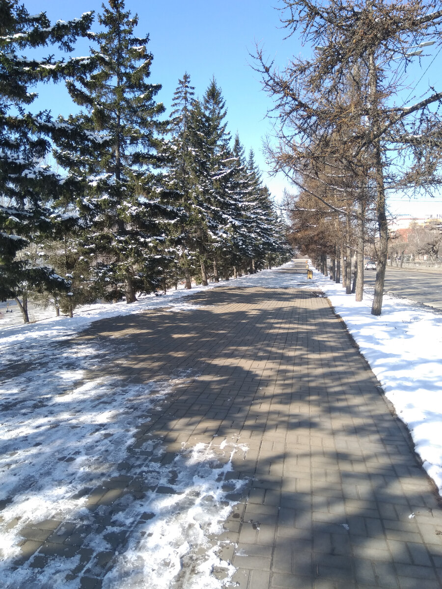 Фото автора. По пути к творчеству 