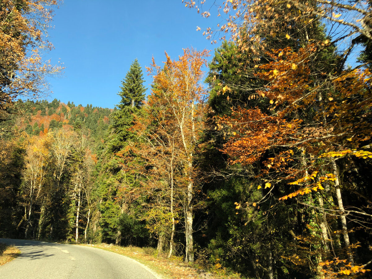 По дороге на озеро Рица