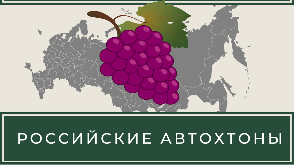 Автохтонные языки. Автохтонные сорта винограда. Автохтонные сорта. Российские автохтонные сорта. Сорта винограда автохтонные и какие еще.