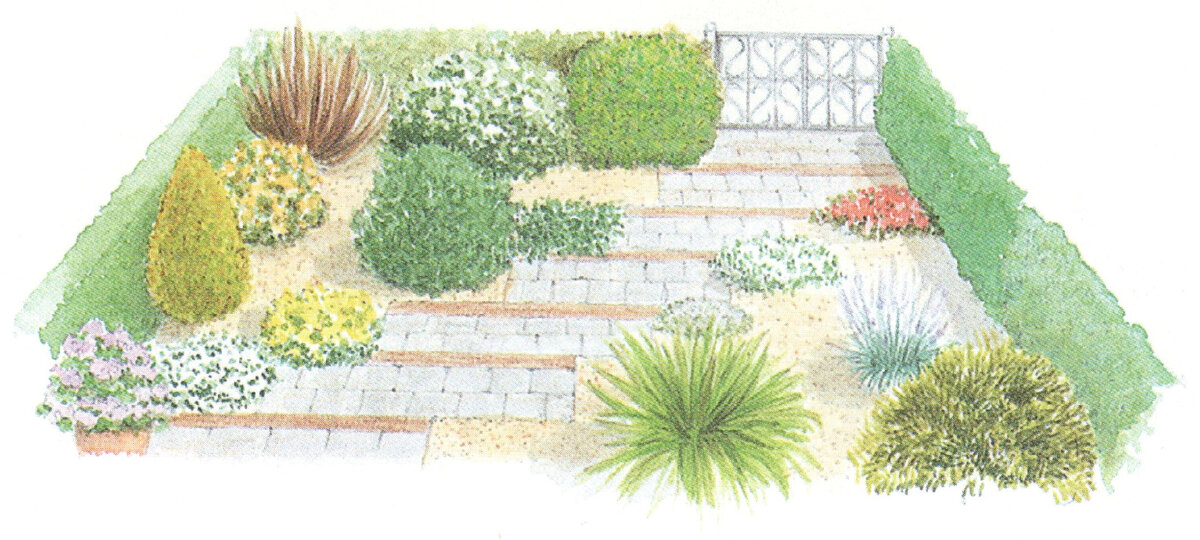 Вид из дома