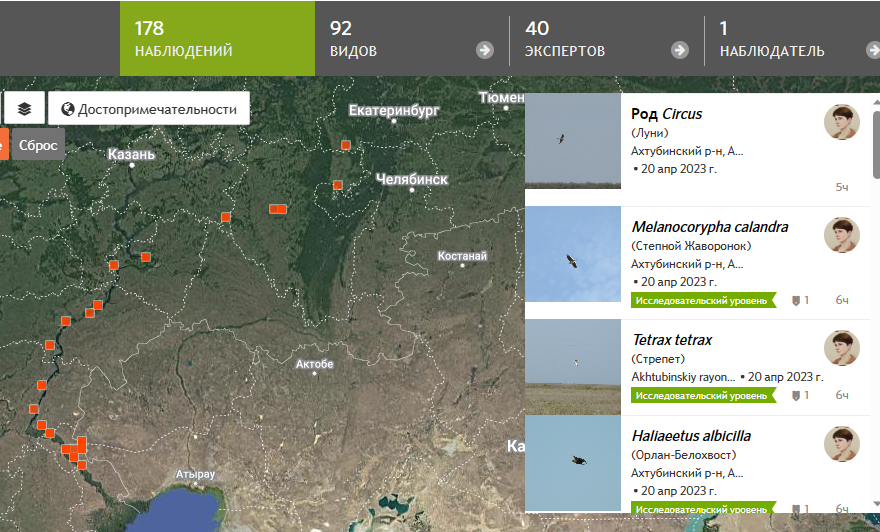 Когда вводишь наблюдения на iNaturalist, выстраивается вот такой маршрут