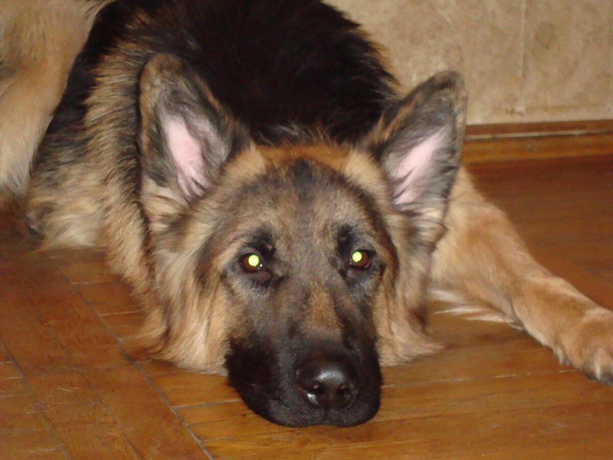 Из открытых источников.