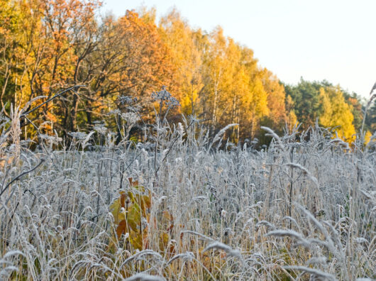    // Фото: mchs.gov.ru