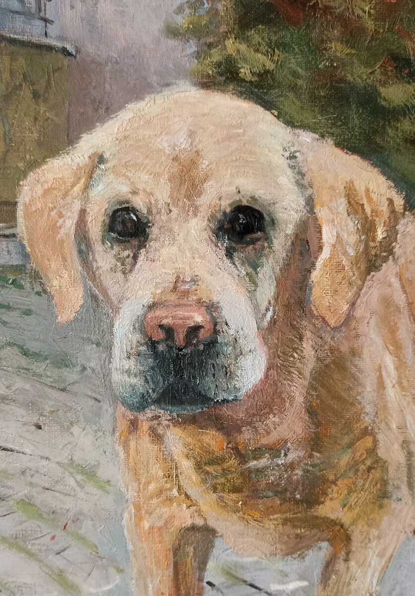 Фрагмент. Пес