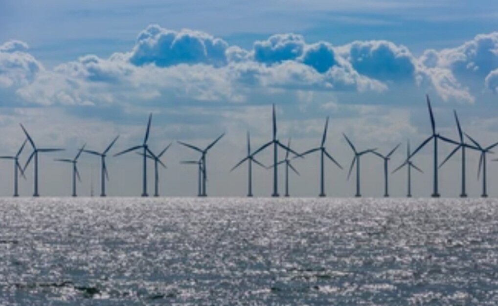 Источник фото: forsal.pl