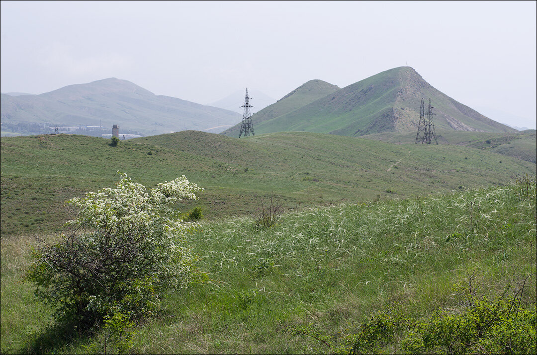 Киммерия великий новгород