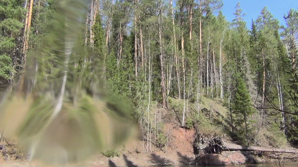 Утро 4 день в тайге Красная скала - смотрите на видео в конце статьи
