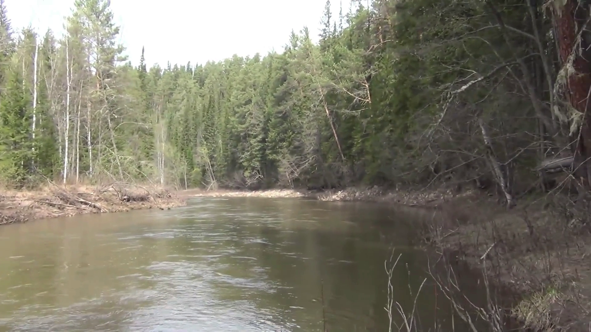 Место где медведь рыл муравейник - но это в следующей части - смотрите на видео в конце статьи