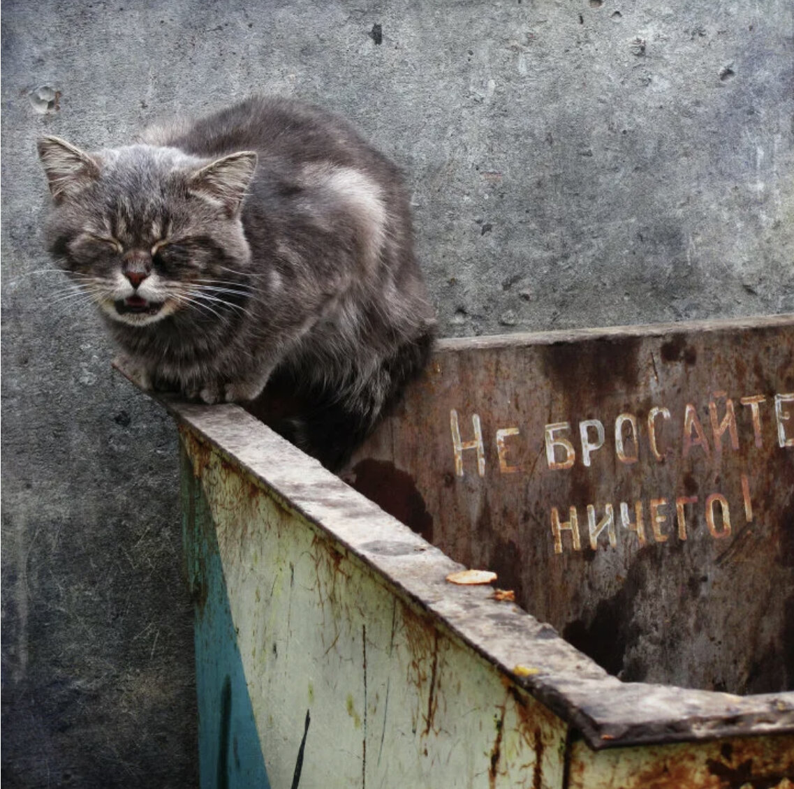 Фото: Максим Минаков