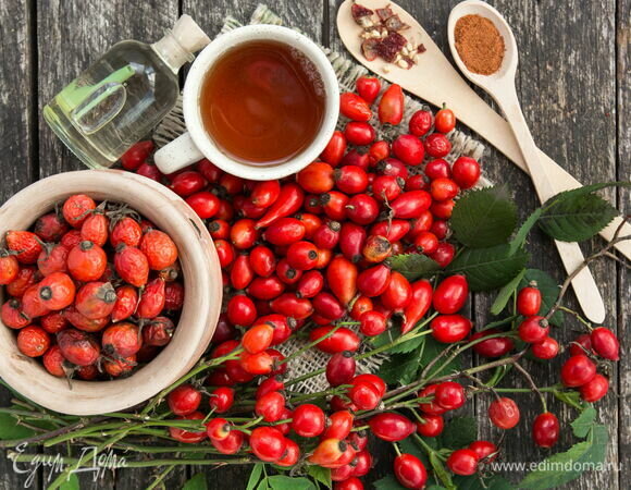 Шиповник - фото из интернета