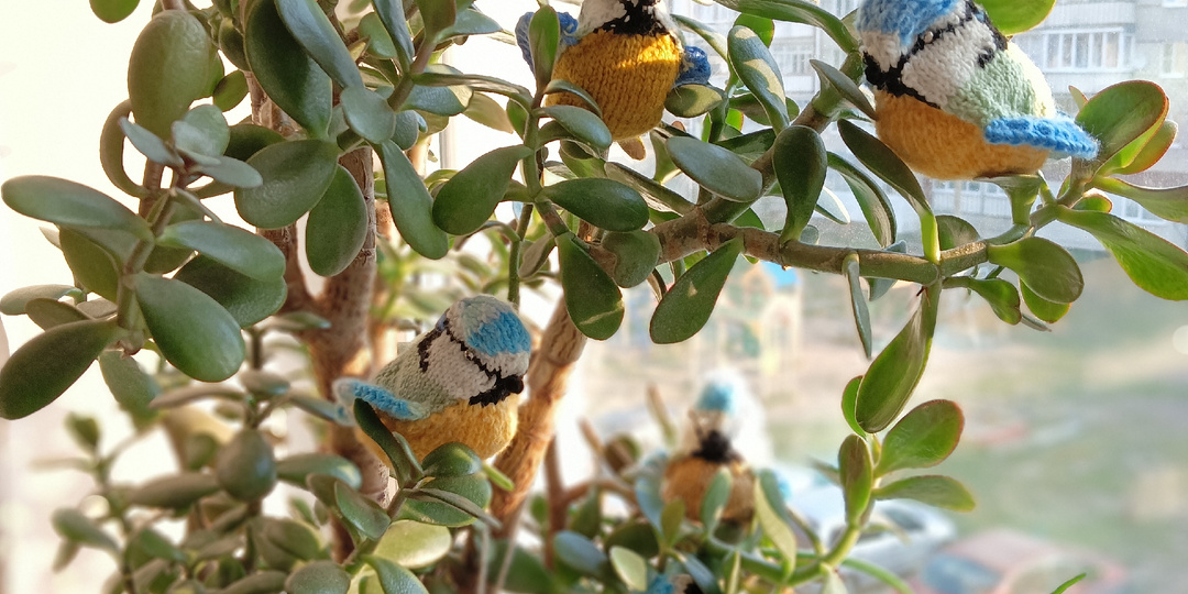 Вяжем спицами птичку синичку