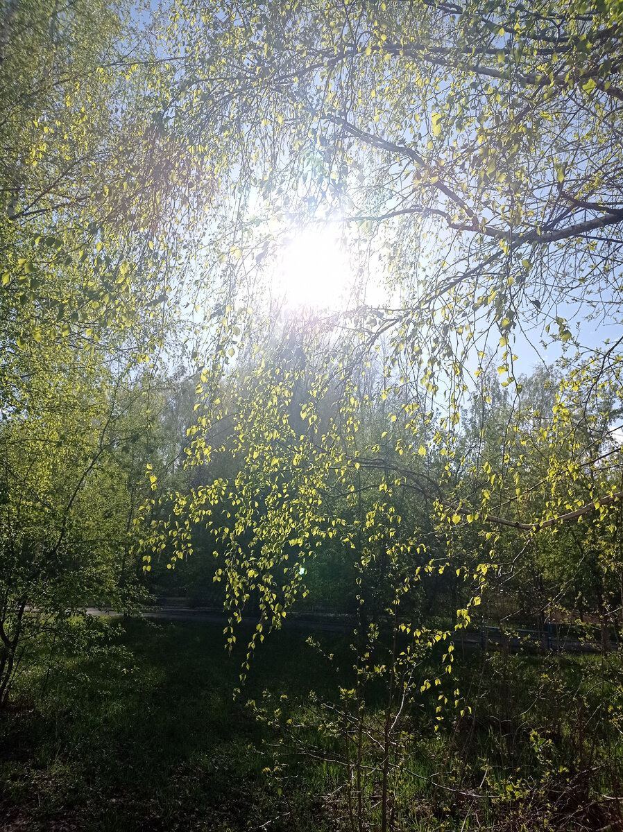 Моё прозрение😁