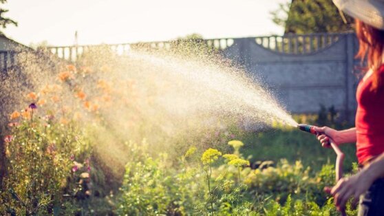    Какие дни в мае самые благоприятные для работ на даче: советы огородникам Татьяна Сидорова
