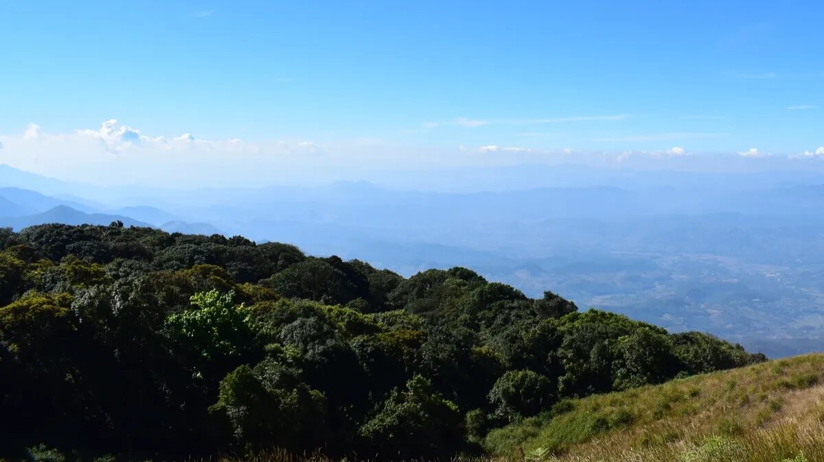 Праздники в майские выходные на 13 и 14 числа. Фото: www.piqsels.com