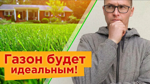 Супергазон начинается с весны! 3 важных действия весной для идеального изумрудно-зеленого газона