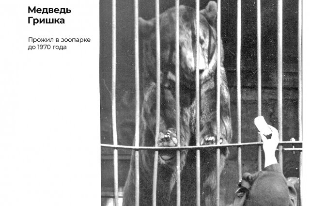    Фото: public domain