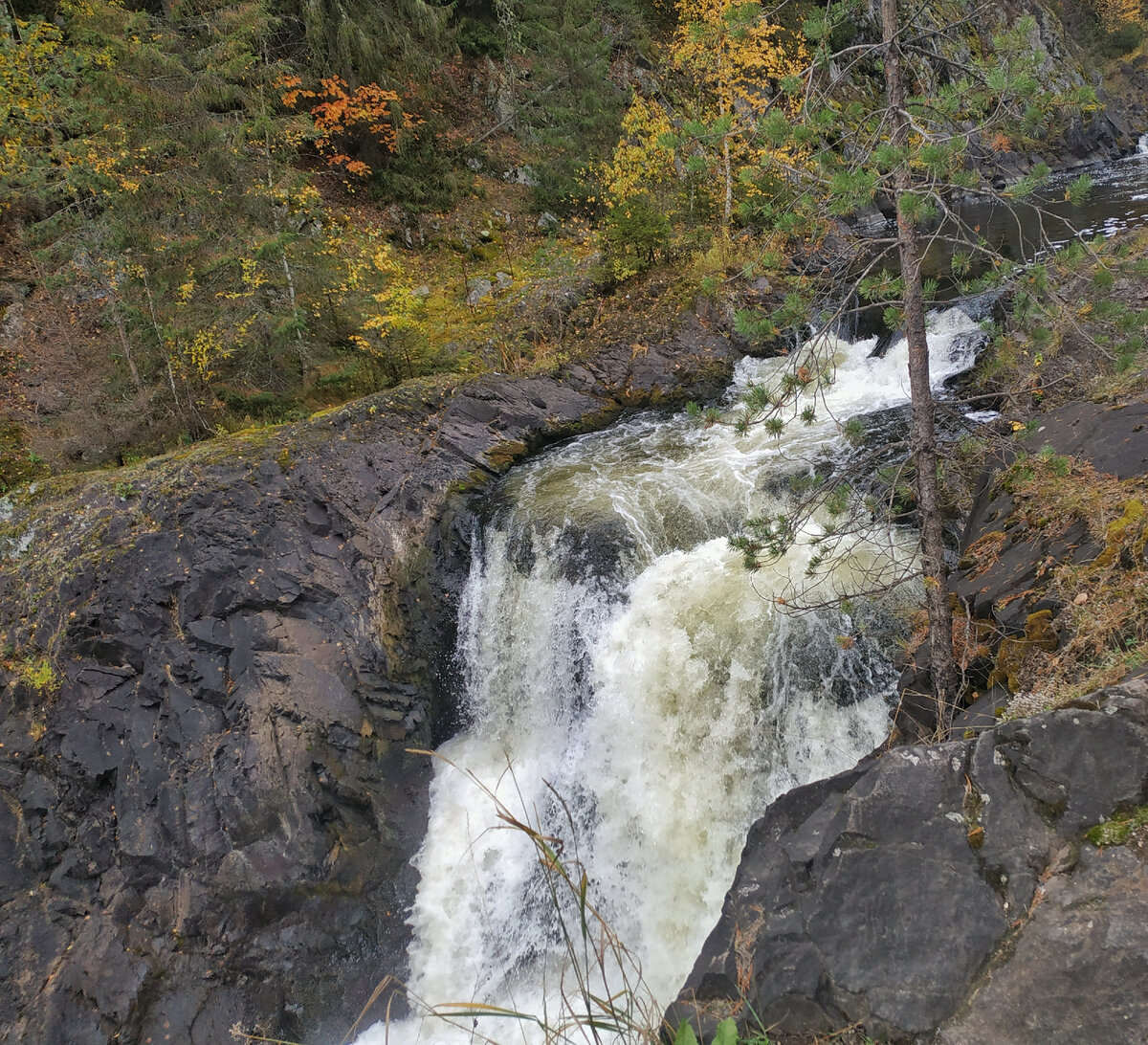 Водопад Кивач (Карелия).