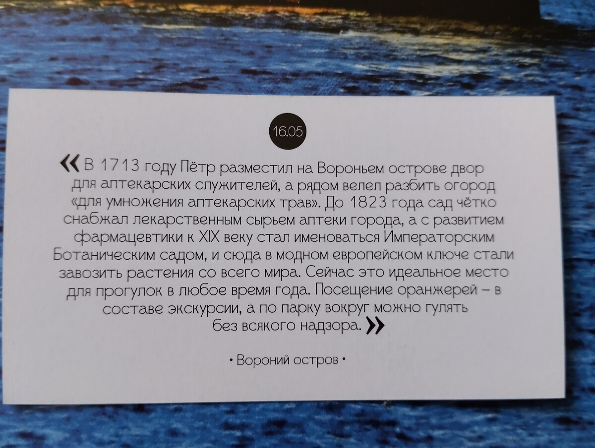 СВИДАНИЕ с ПИТЕРОМ: последовать советам или забить на всё и делать, что  вздумается? | Опять с книжкой валяется! | Дзен