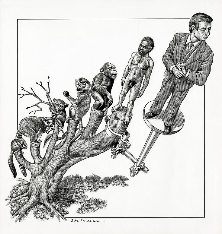 Эволюция она такая... 