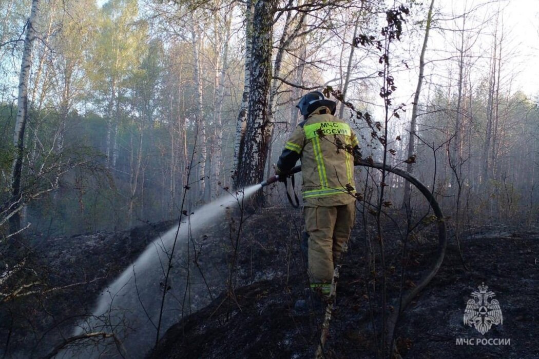 Фото: пресс-служба ГУ МЧС России по Свердловской области Вера Яковлева  📷
