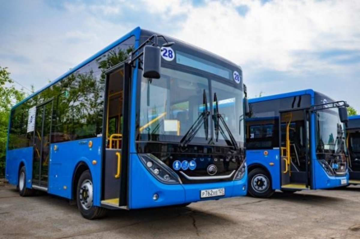    «Доездились» - «Автобусников» могут поставить в жесткие рамки