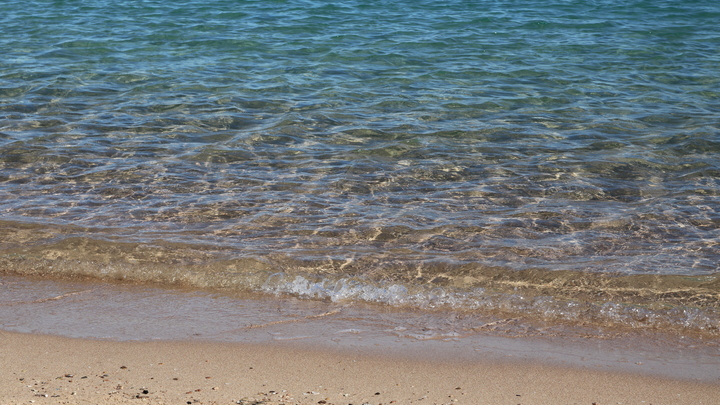 MAKSIM KONSTANTINOV/GLOBAL LOOK PRESS 