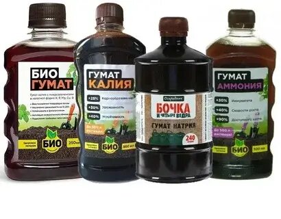 Время посадки овощей в саду зависит от их вида и климатических условий. Комплексные удобрения.