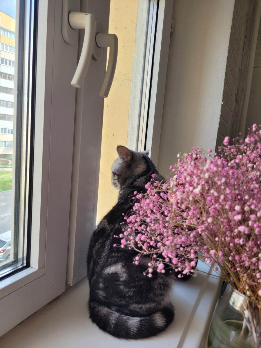 Свой телевизор😀