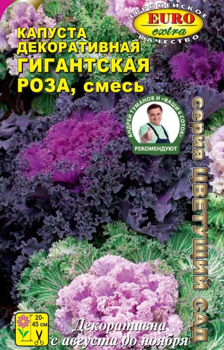 Капуста предпочитает солнечные места или полутень с рыхлой плодородной почвой. Размножают капусту декоративную, как и овощную – через рассаду. Семена высевают с начала до середины апреля. Всходы поливают только при значительном высыхании почвы, а в остальное время – опрыскивают. В открытый грунт растения высаживают в конце мая (через 30-35 дней после всходов), с расстоянием между растениями 35-40 см. Уход заключается в регулярном рыхлении и поливах. Капуста хорошо отзывается на подкормки минеральными азотными или органическими удобрениями каждые 7-10 дней.