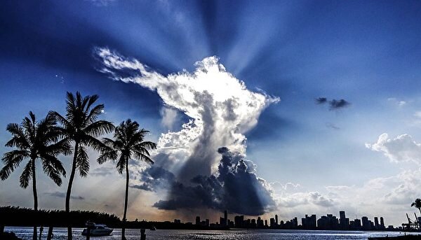 Фото: pixabay.com