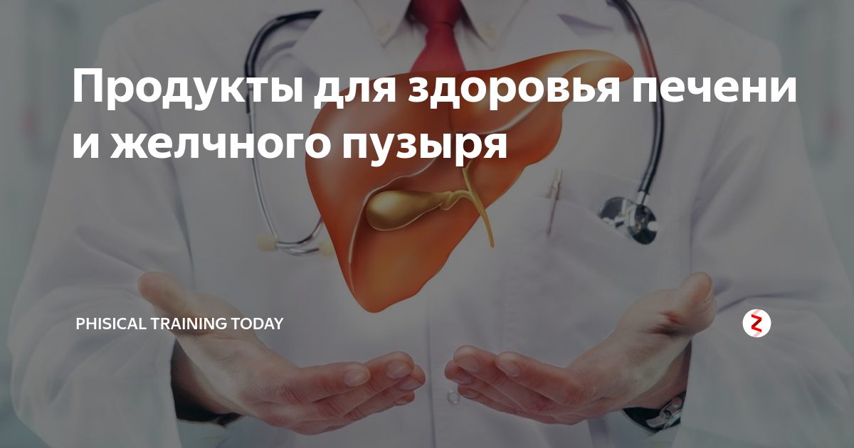 Продукты для здоровья печени и желчного пузыря | PHISICAL TRAINING ...