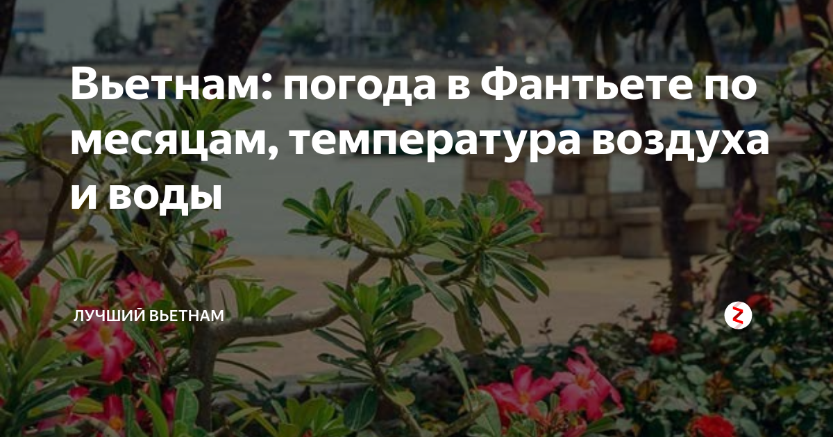 Вьетнам: погода в Фантьете по месяцам, температура воздуха и воды ...