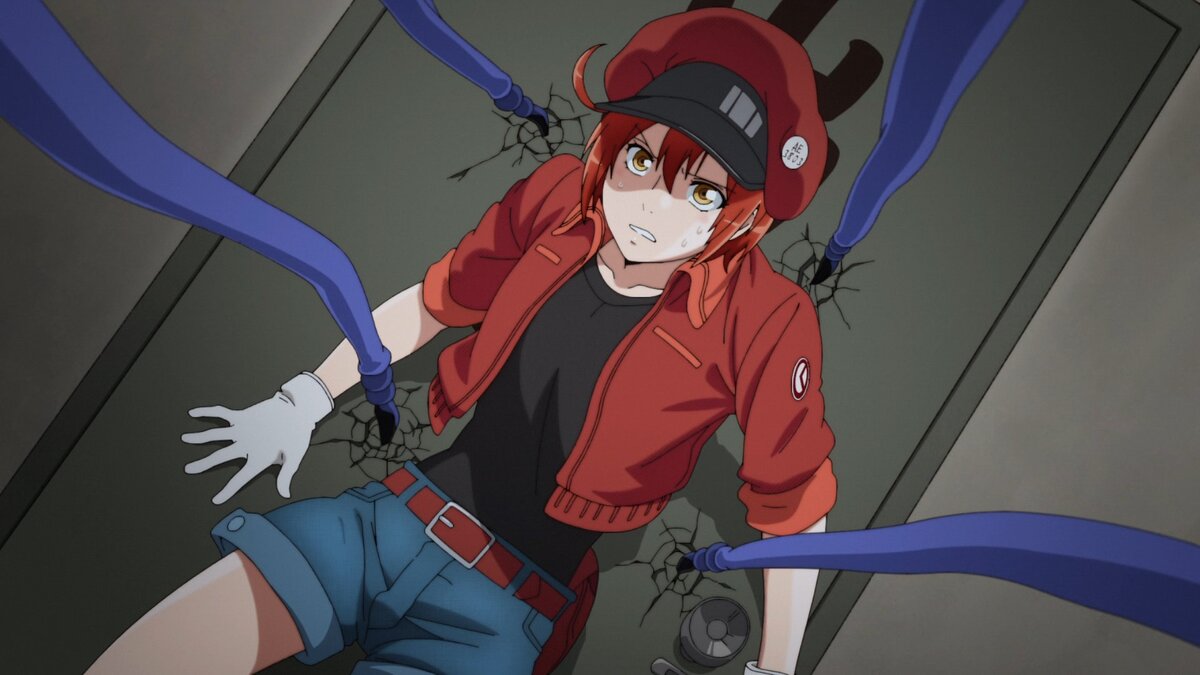 Hataraku Saibou | аниме с оленем | Дзен