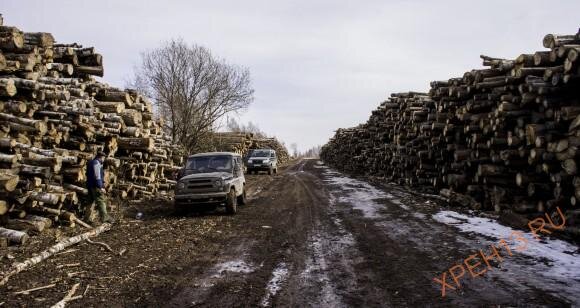 Здесь заканчивается асфальт.