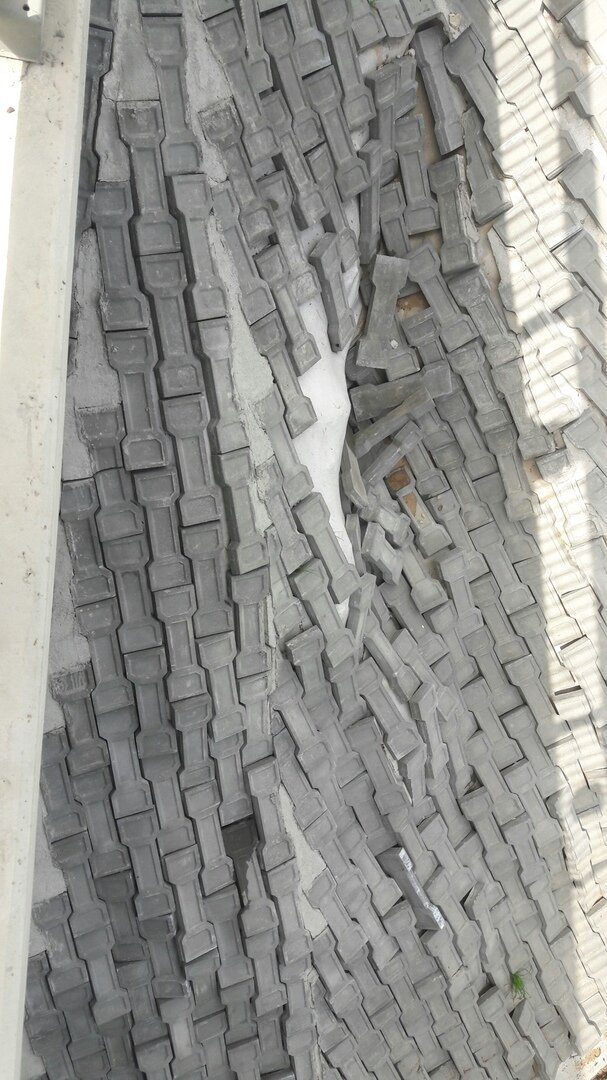 Фото: Ленин Ленский, «Могилев Real»
