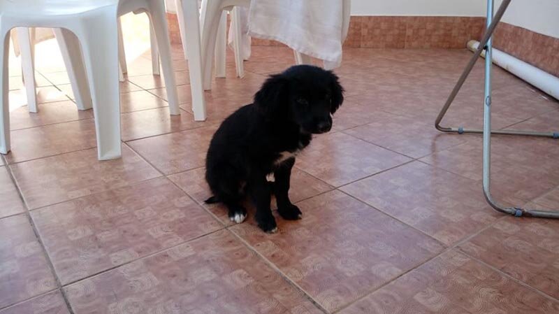 Фото: facebook.com/klemekh