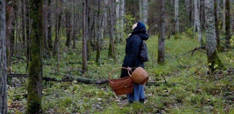  Фото: 67.rodina.newsМужчина и женщина заблудились в разных районах области.