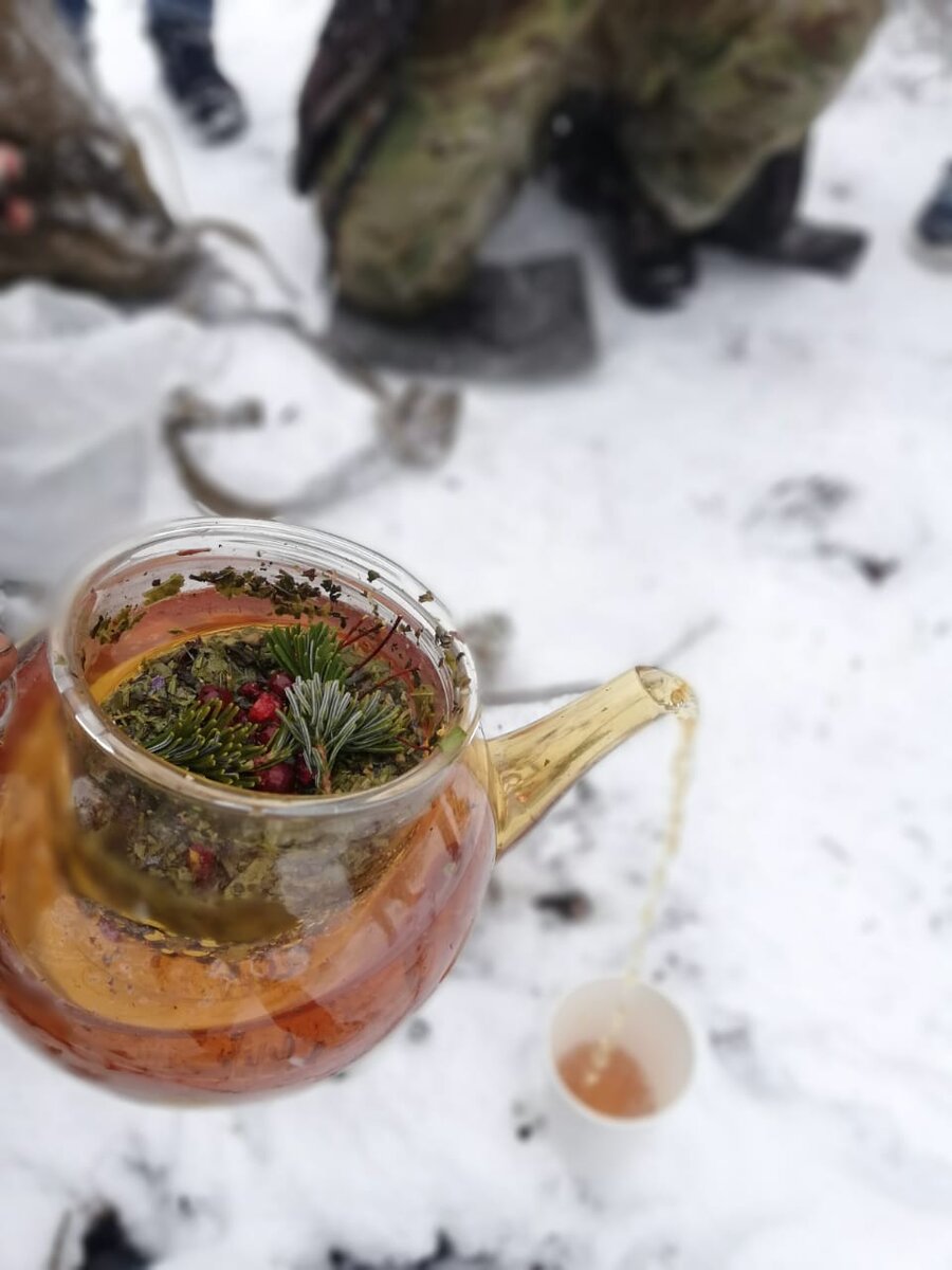 На фото: Заваренный Иван-чай с собранными ягодами и еловой веточкой на горе Скалистая (Читинза) в Партизанском районе. Автор: Михаил Михайлов. 