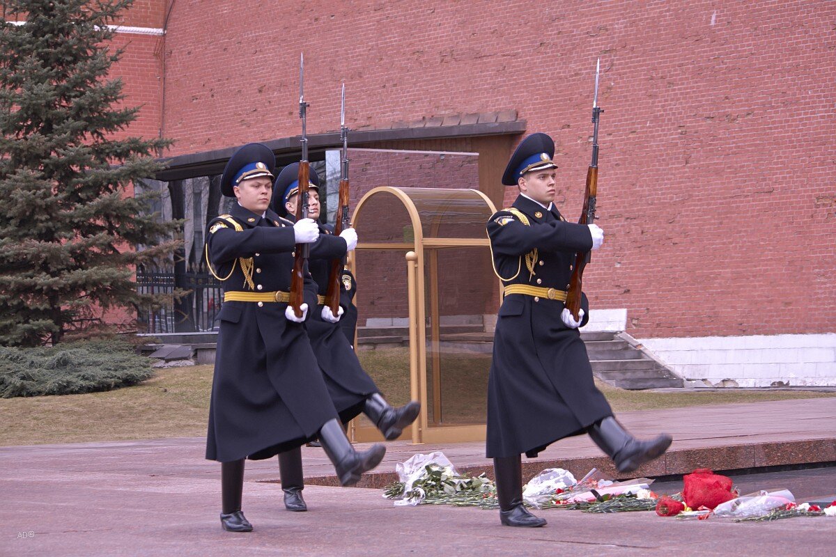 Картинка 4 караул