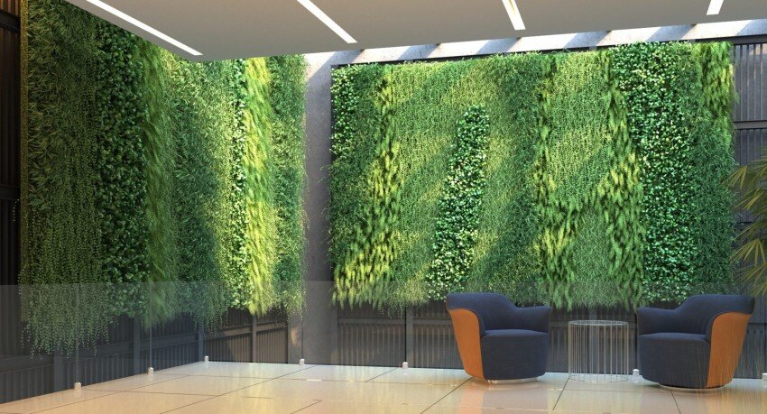 Вертикальное озеленение стен на даче: цветы и растения