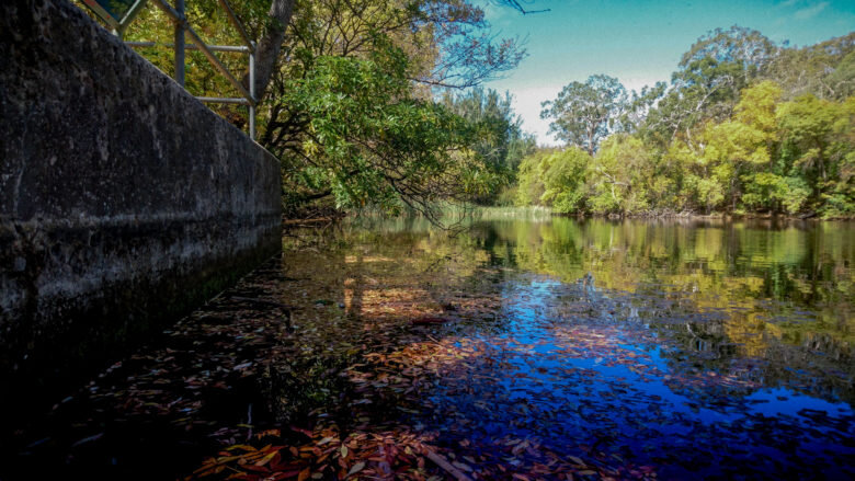 Плюсы и минусы жизни в Австралии