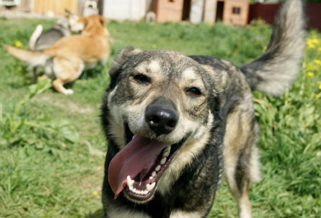 Юна из ЗаПолянки. Тоже девочка)