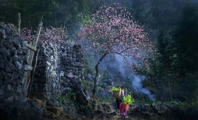 Ảnh: Vũ Anh Dũng