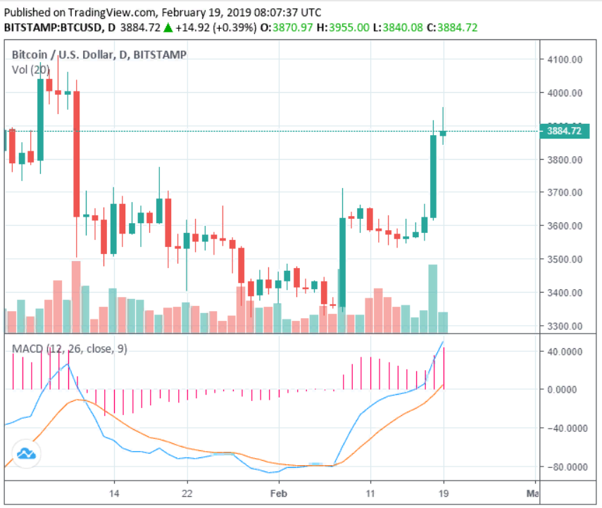 Цена bitcoin приближается к 4000 долларов в бычьей перспективе, редко встречающейся в последние месяцы.
